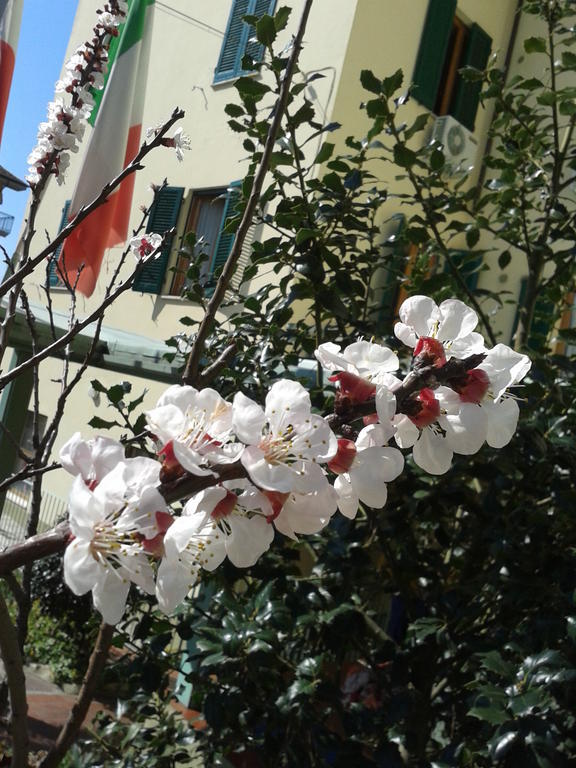 Hotel Villa Rita Montecatini Terme Exterior photo